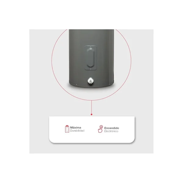 Calentador Electrico 50 GLS de 220V - Rheem